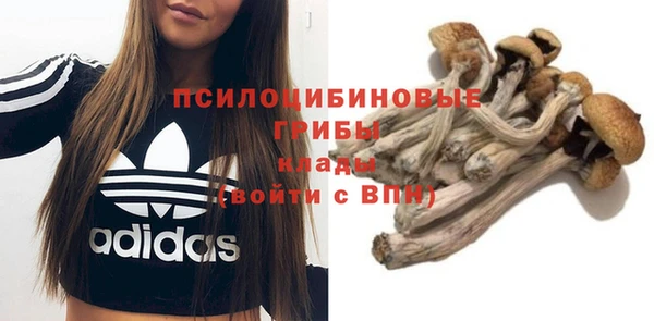 спиды Алексин