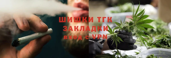 spice Алзамай