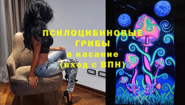 шишки Алексеевка