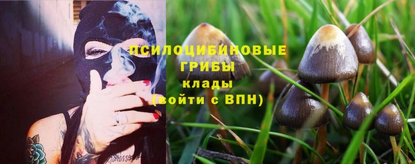 spice Алзамай