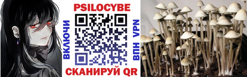 Псилоцибиновые грибы Psilocybe  маркетплейс Telegram  Кольчугино  где продают  