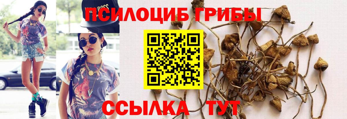 Галлюциногенные грибы Magic Shrooms Кольчугино